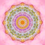 WITHIN & BEYOND