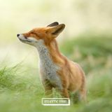 Eclectic Soul 23 w/ Oldtwig, ATCQ, Classik Swiss Chocolat, Kaytranada, Koreless, Four Tet and more