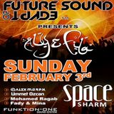 Ummet Ozcan – Live at FSOE Night (Space Sharm, Egypt) – 03.02.2013