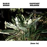 Wiener Melange Nr.20 - Kapstadt Melange 2
