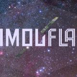 CAMOUFL4GE Dj Set - Monelli VS BriSa - The Flag 5/04/2013