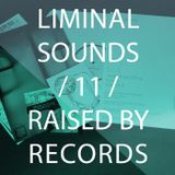 Liminal Sounds Vol.11: Raised By Records