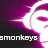 The Bassmonkeys Mix - Show 52 (Best Of 2012 (Part One)