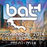 BatT - Electro House MiniMix - November 2014