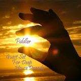 Fiddler - Special Set For Deep House Parade (2013.03.26)