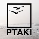 Ptaki - Winter Mix