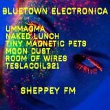 Bluetown Electronica live show 18.01.15