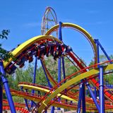 Trickster Raven - The World is Just a Ride