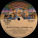 Paul's Boutique #167 : Out To Catch