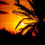 Electro/Progressive House Mix #007 - "1 Hour Summer Special" by Lukkie