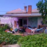 Forecast #10: The Painted Palace (Brambles)