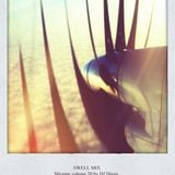 Swell Mix by DJ Digga (2011)