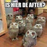 NSK TERRORDRANG - IS HIER DE AFTER? // SUNDAYMORNING MIXSESSION @ NIE-HIEL's PLACE // 23 AUGUST 2015
