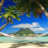 真夏のカリビアンMix