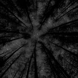 Sounds For Night Time V.1