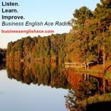 Business English Ace Radio Episode 005