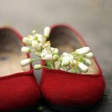 Đi qua mùa hoa trắng tháng ba