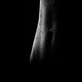 Bodykey