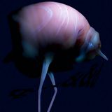 Arca - &&&&&