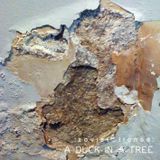 A Duck in a Tree 2014-06-21 | The Measurement of Echoes with Powder