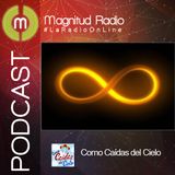 Cierre de un año 8