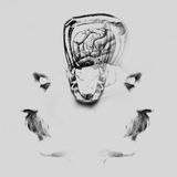 Melding of Minds