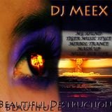 Beautiful Destruction ( Meex )
