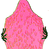 slur, forever
