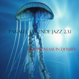 Paralel Evrende Jazz 2.3.1 (27 Ocak 2013)