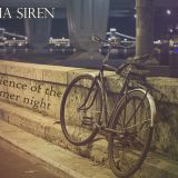Ambience of the Summer Night