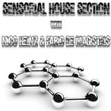 Sensorial House Section # 05 05-07-2012