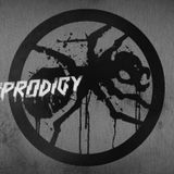 The Prodigy Mix 1991 - 2009 (Vinyl Only Mix)