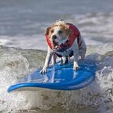 Sidewalk Surfing E03 (2/12/2016)