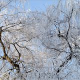 Lost Souls Of January