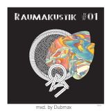 Dubmax - Raumakustik #01