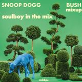 snoop dogg bush in the mix