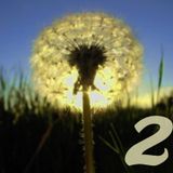 DIE EINEN - reduction 2