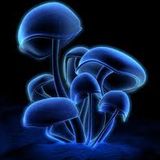 techno house set 2011 selection