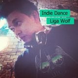 Indie Dance Mix From Liga Wolf