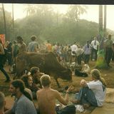 Djdannyc Perception In Goa