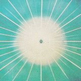 Sounds Of The Dawn - 5th March 2016
