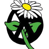 STACKA - CHILDREN OF THE FLOWER PROMO MIX - FREE D/L