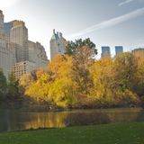 Oct 4: Autumn in New York's Deluxe Apt.