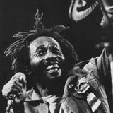 Roots Mix