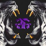 NIGGA HIGH AS SHIT: THE MIXTAPE (VOL.5)