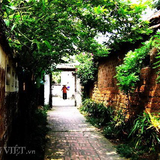 Muối vừng muối lạc đơn sơ hồn Việt