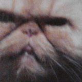 HELLO KITTY - (mixed by SARKI - 2014-12-01) - INSTANT