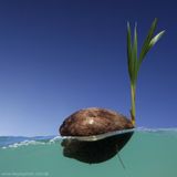 -6GMT (October 2012) Floating Mix by Thiago Cortés