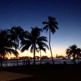 DJ WHO Presents... OUTLIER - WIRE TAP (MIAMI BEACH TRACKS)
