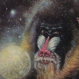 AUDIOMATIC - CONSTELLATION MIX 6